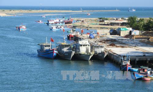 Tài nguyên biển đang suy thoái ảnh 1